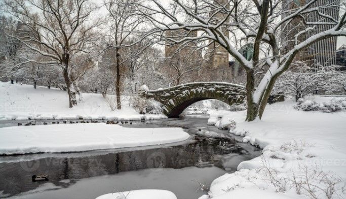 Central Park se cubre de blanco por tormenta invernal