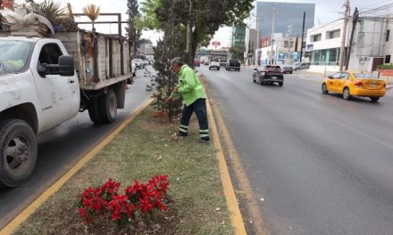 Refuerza Javier Díaz atención y limpieza en colonia Lomas de Lourdes