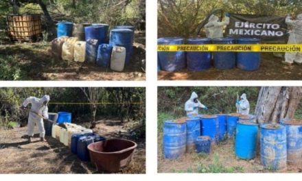 Desmantelan en Sinaloa áreas de almacenamiento de precursores químicos