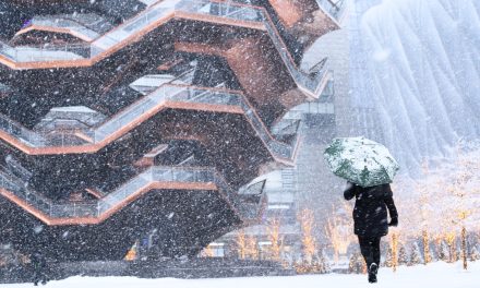 Tormenta invernal en Estados Unidos y provoca afectaciones viales y aéreas