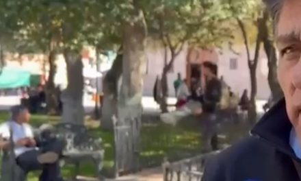 Sujeto ataca a unas palomas en la  plaza San Francisco