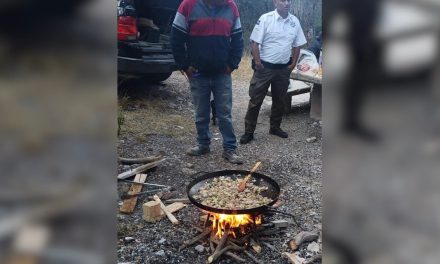 Un sujeto preparaba discada a la leña en la Sierra de Arteaga y queda  detenido