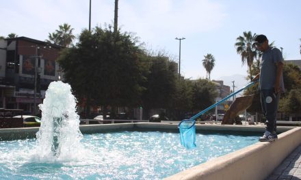 Dan mantenimiento diario a fuentes y lagos de Torreón