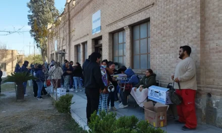 Se reanuda la campaña de esterilización para perros y gatos en Ramos Arizpe