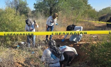 Localizan fosas clandestinas con decenas de restos humanos en  Mexicali
