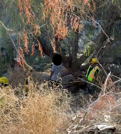 Hallan a hombre sin vida y pendiendo de una soga en un arroyo de la colonia Guayulera