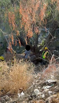 Hallan a hombre sin vida y pendiendo de una soga en un arroyo de la colonia Guayulera