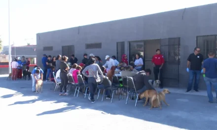 Inician jornadas de esterilización este miércoles en el DIF Ramos Arizpe