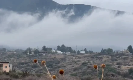 Registran dos grados bajo cero en varios puntos de la Sierra de Arteaga