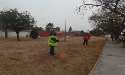 Saltillo mantiene acciones de limpieza y mantenimiento en espacios públicos