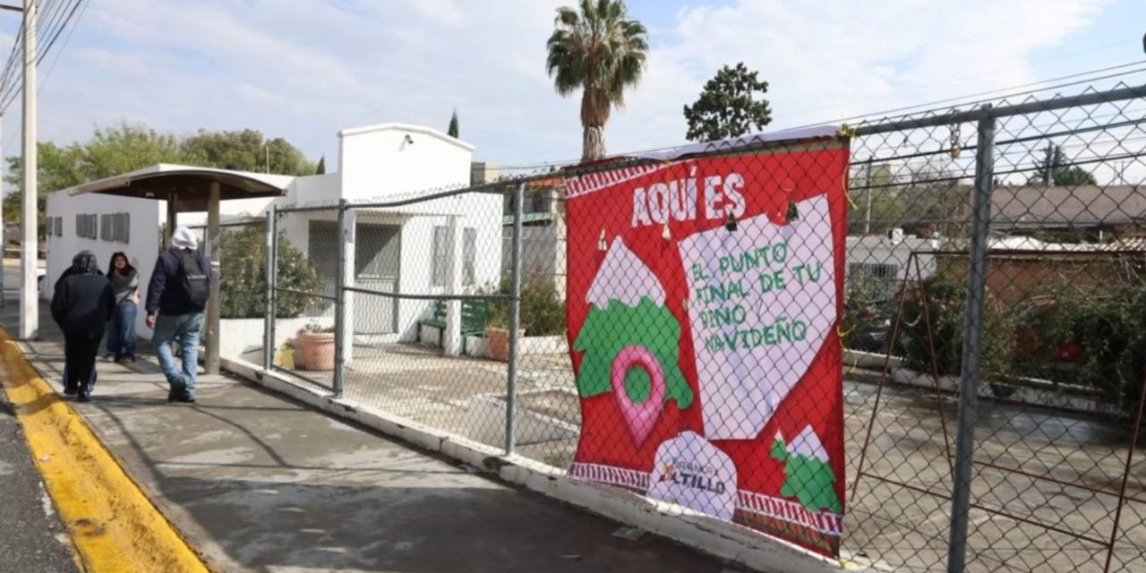 Son 11 centros de acopio en Saltillo para depositar pinos navideños naturales