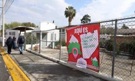 Son 11 centros de acopio en Saltillo para depositar pinos navideños naturales