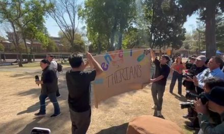 Reunión ‘therian’ fracasa en la CDMX