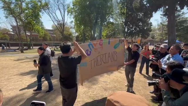 Reunión ‘therian’ fracasa en la CDMX