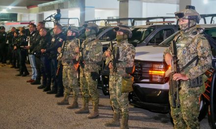Operativos coordinados dejan a 29 detenidos