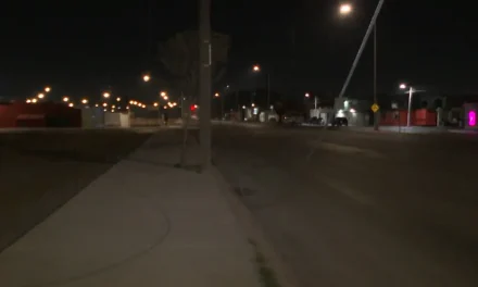 Saltillo: Cables representan un peligro; están sobre una banqueta en colonia Brisas