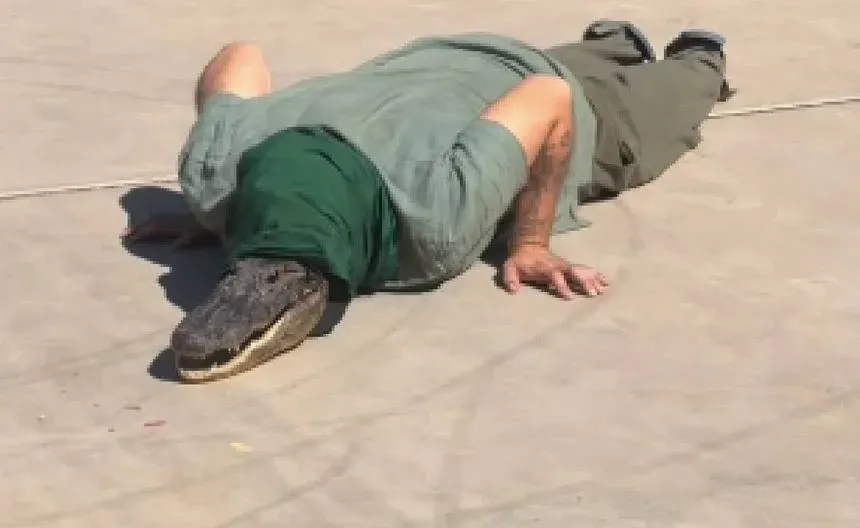 Aparece el primer therian cocodrilo en Sonora (video)