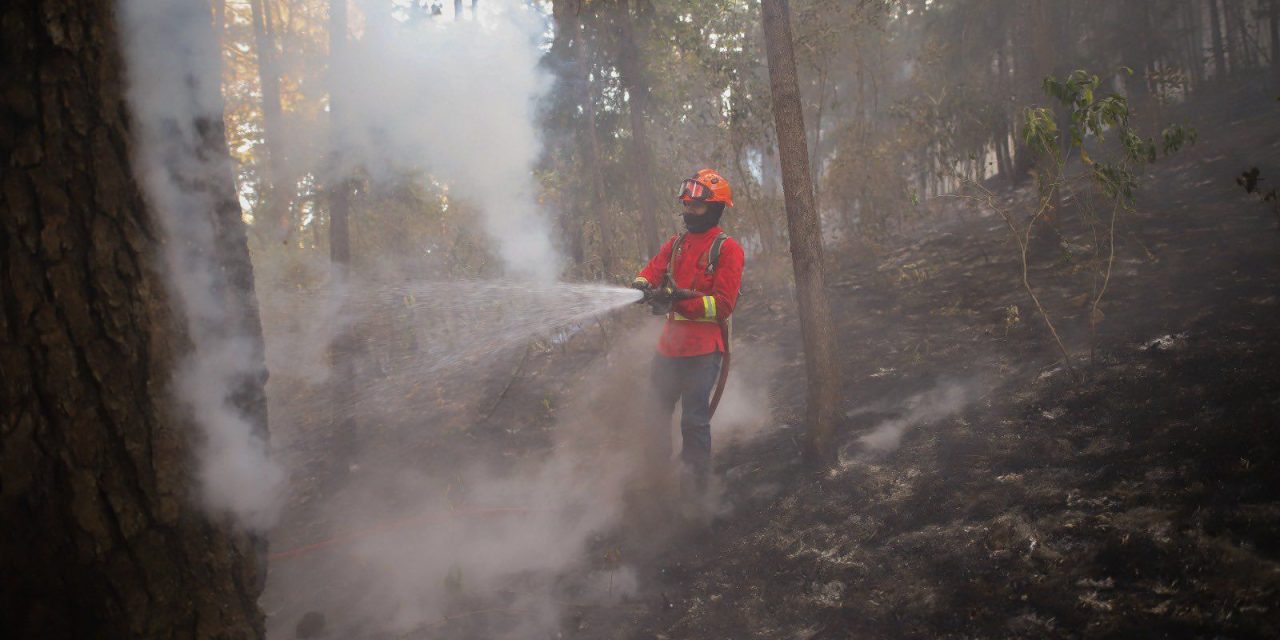 Veinte incendios forestales permanecen activos en siete estados del país