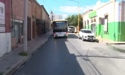 En promedio dos o tres unidades fuera de circulación tras ser verificadas