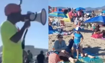 Salvavidas en Chile exige ‘bozal y correas’ a la comunidad therian en playa pública