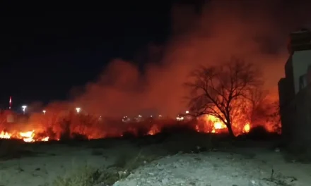 Incendio en arroyo cercano a viviendas obliga a sus moradores a salir de estas