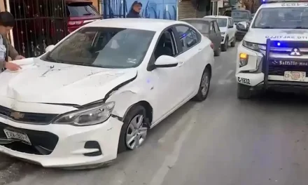 Mujer choca con un árbol tras distracción al volante en la colonia Miguel Hidalgo