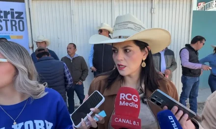No tendrán que renunciar o pedir licencia Diputados que busquen reelegirse;  Luz Elena Morales
