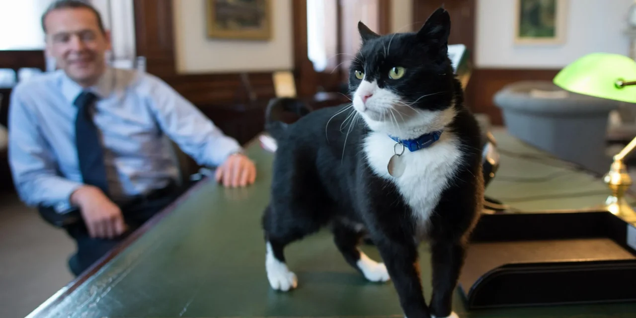 Muere Palmerston, el legendario gato del Ministerio de Exteriores británico