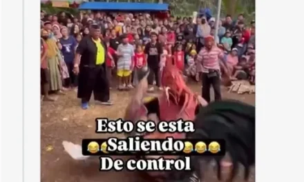 No es la IA… Así son las ‘peleas de gallos therian’