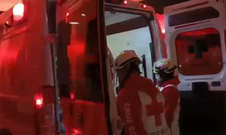 Vaca provoca aparatoso accidente en la Saltillo–Torreón