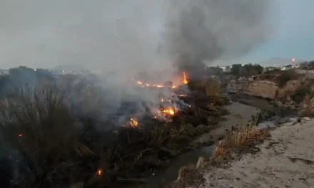 Voraz incendio arrasa hectáreas y tejabanes en arroyo de Ramos Arizpe