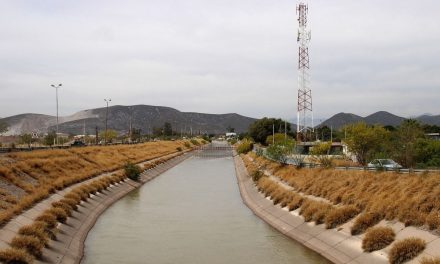 Listo, el arranque del ciclo agrícola 2026 en la Laguna