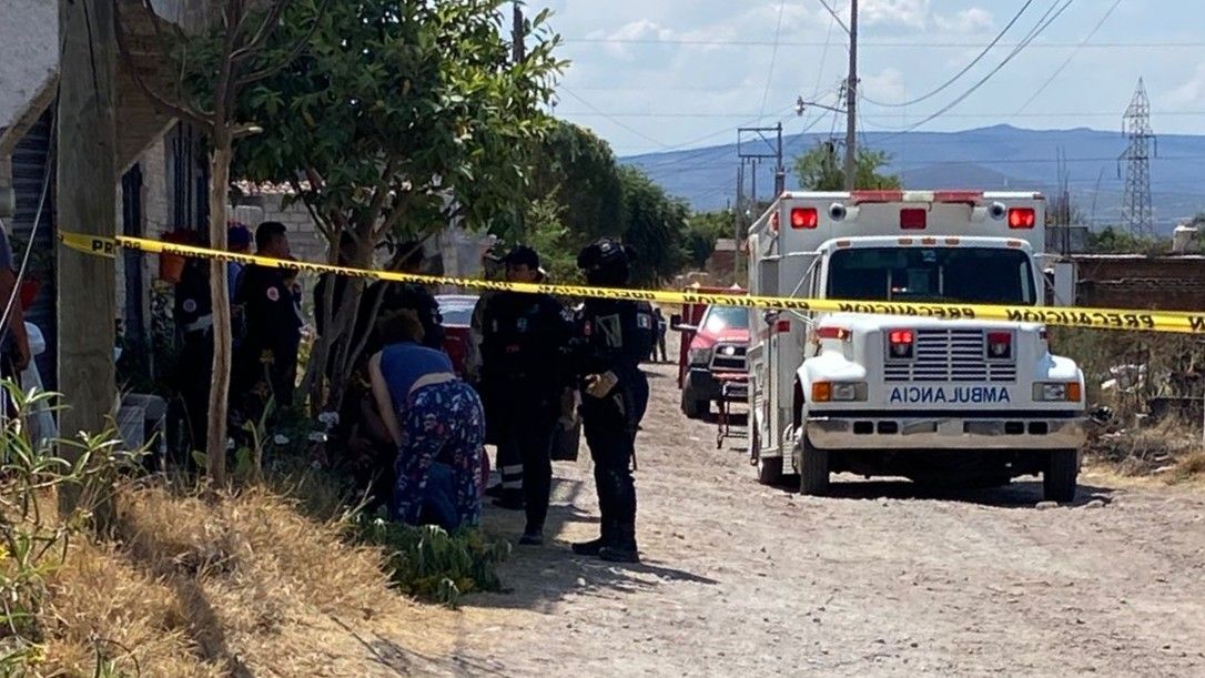 Abejas acaban con la vida de abuelita por picaduras en Guanajuato… bomberos no atendieron su llamado