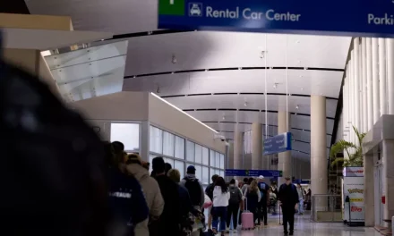 Aeropuertos de Estados Unidos al borde del colapso: Renuncian 400 agentes de la TSA y el ICE toma el control