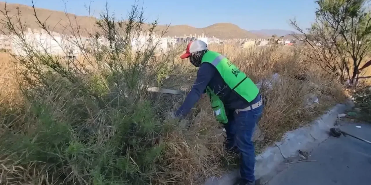 Avanza el programa ‘Colonias al 100’ en el sector Hacienda Narro