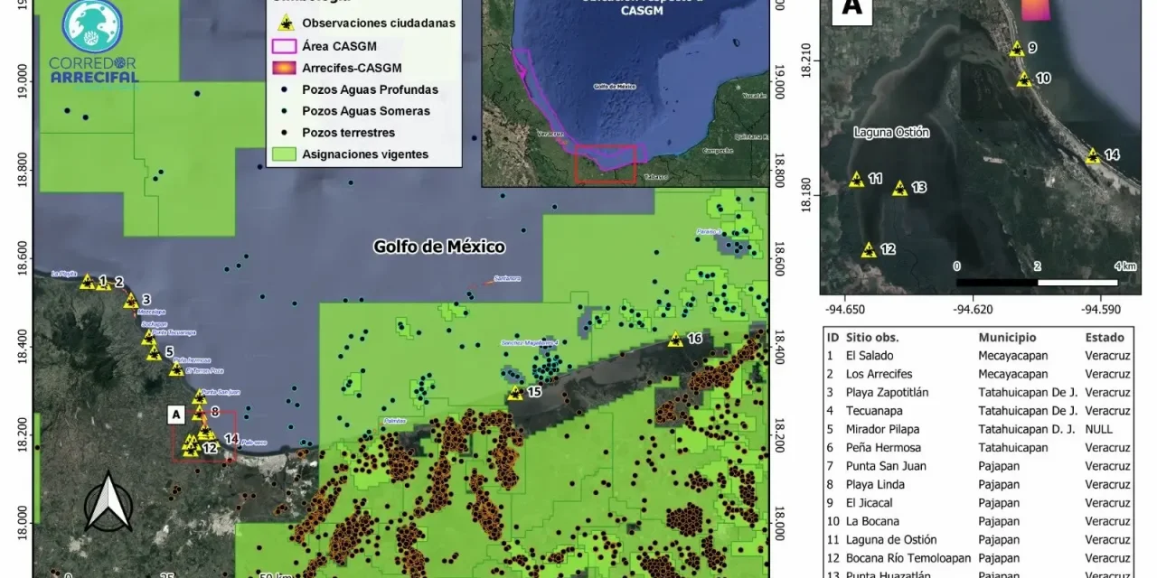 Chapopote contamina 16 puntos del litoral entre Veracruz y Tabasco