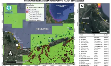Chapopote contamina 16 puntos del litoral entre Veracruz y Tabasco