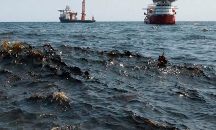 Catástrofe en el Golfo: Derrame petrolero alcanza los 630 km de costa y golpea todo el Corredor Arrecifal