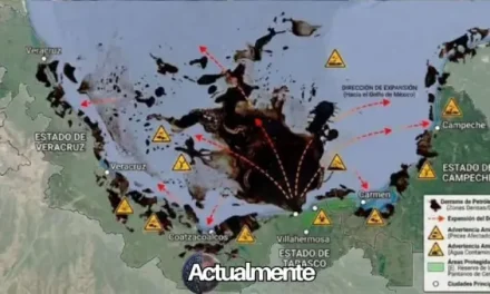 Derrame en el Golfo de México desata crisis ambiental pese a minimización del gobierno federal
