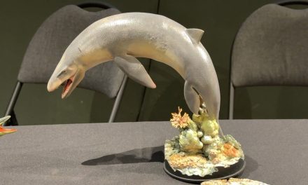 Descubren nueva especie de reptil marino de hace 70 millones de años