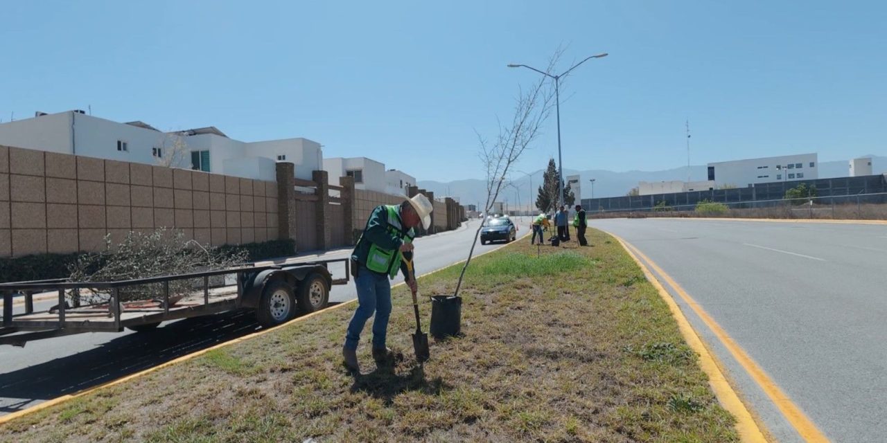 Fortalece Javier Díaz acciones de reforestación en la ciudad