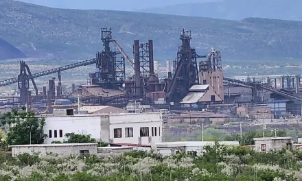 IP señala falta de voluntad de la federación para resolver crisis en AHMSA