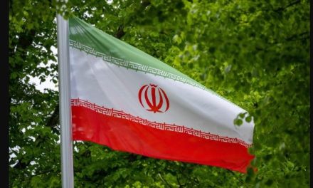 Turistas ondean bandera de Irán en Paseo Santa Lucía