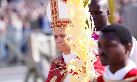 Pide el papa León XIV terminar con la guerra en su primer Domingo de Ramos