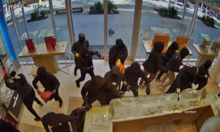 Video: Revela video de millonario robo a joyería en California