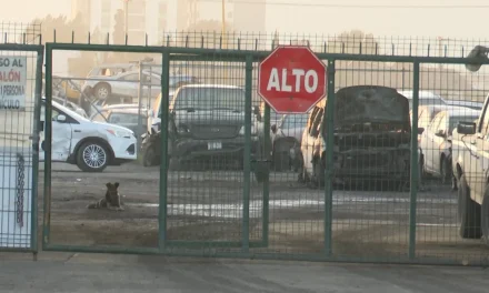 Se queman tres vehículos en corralón por un incendio repentino en Saltillo