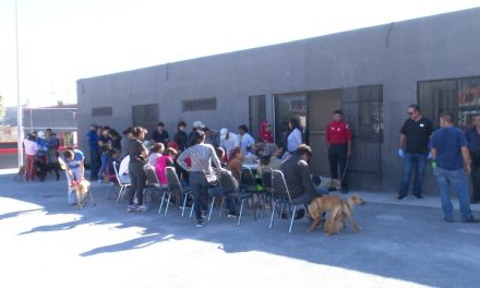 Reanudan jornadas de esterilización sin costo en la Plaza Tula de la colonia Analco