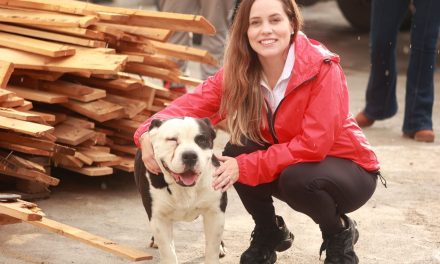 Impulsa Marimar Arroyo apoyo a perros rescatados
