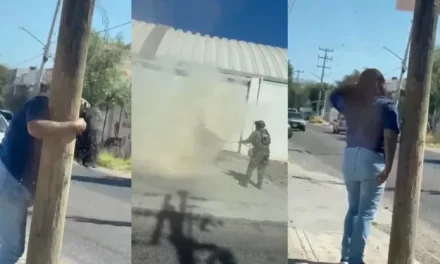 Video: Mujer es atacada por enjambre de abejas en Culiacán… recibe más de 100 picaduras