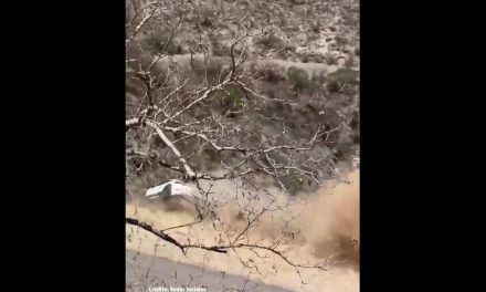 Porsche cae a barranco en Durango mientras participaba en el Rally Express 2026 (video)
